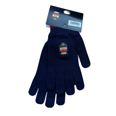 Willem II Handschoenen - Kids