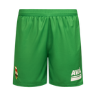 Willem II Keepersshort 25/26 - Groen - Senior